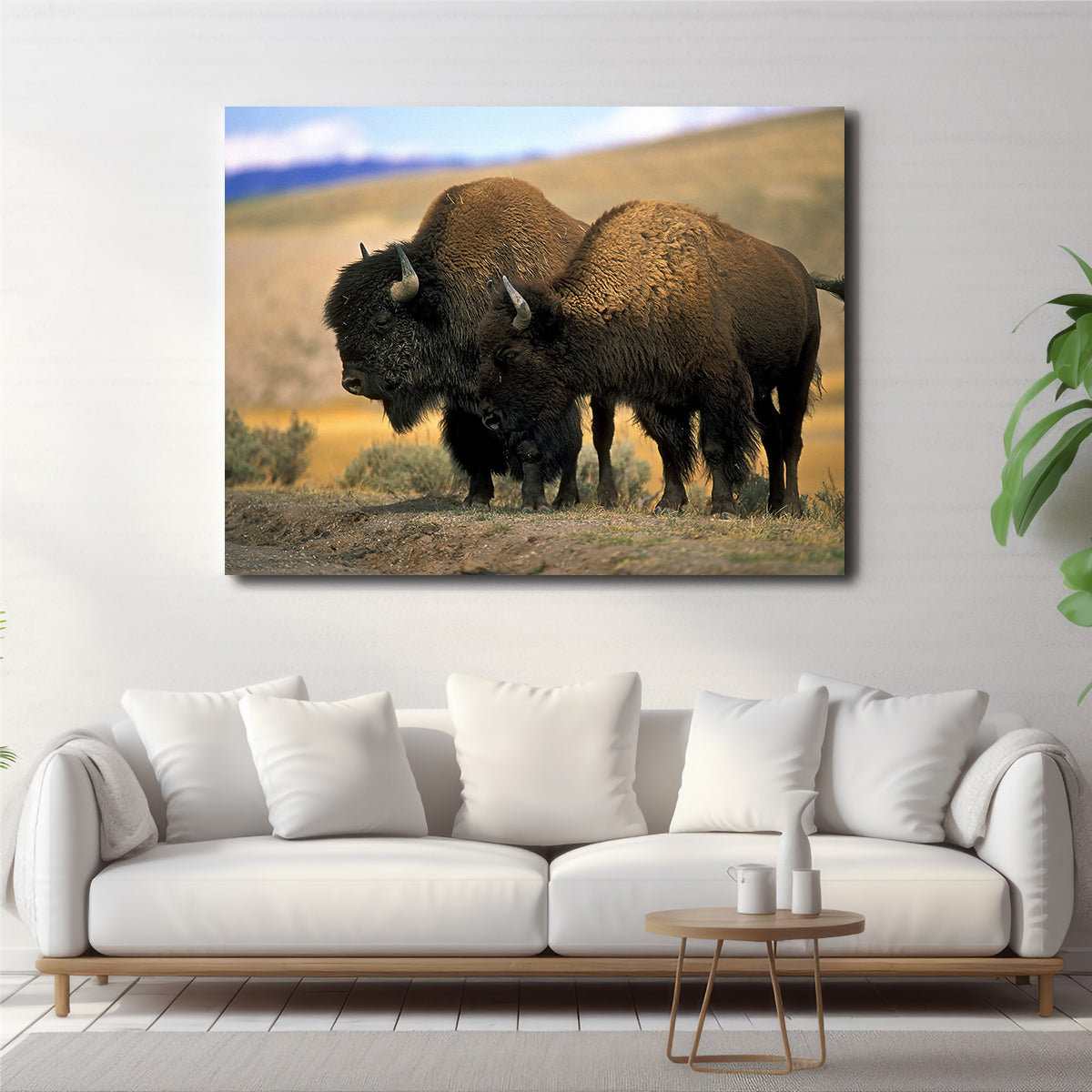 North American Buffalo Wall Art