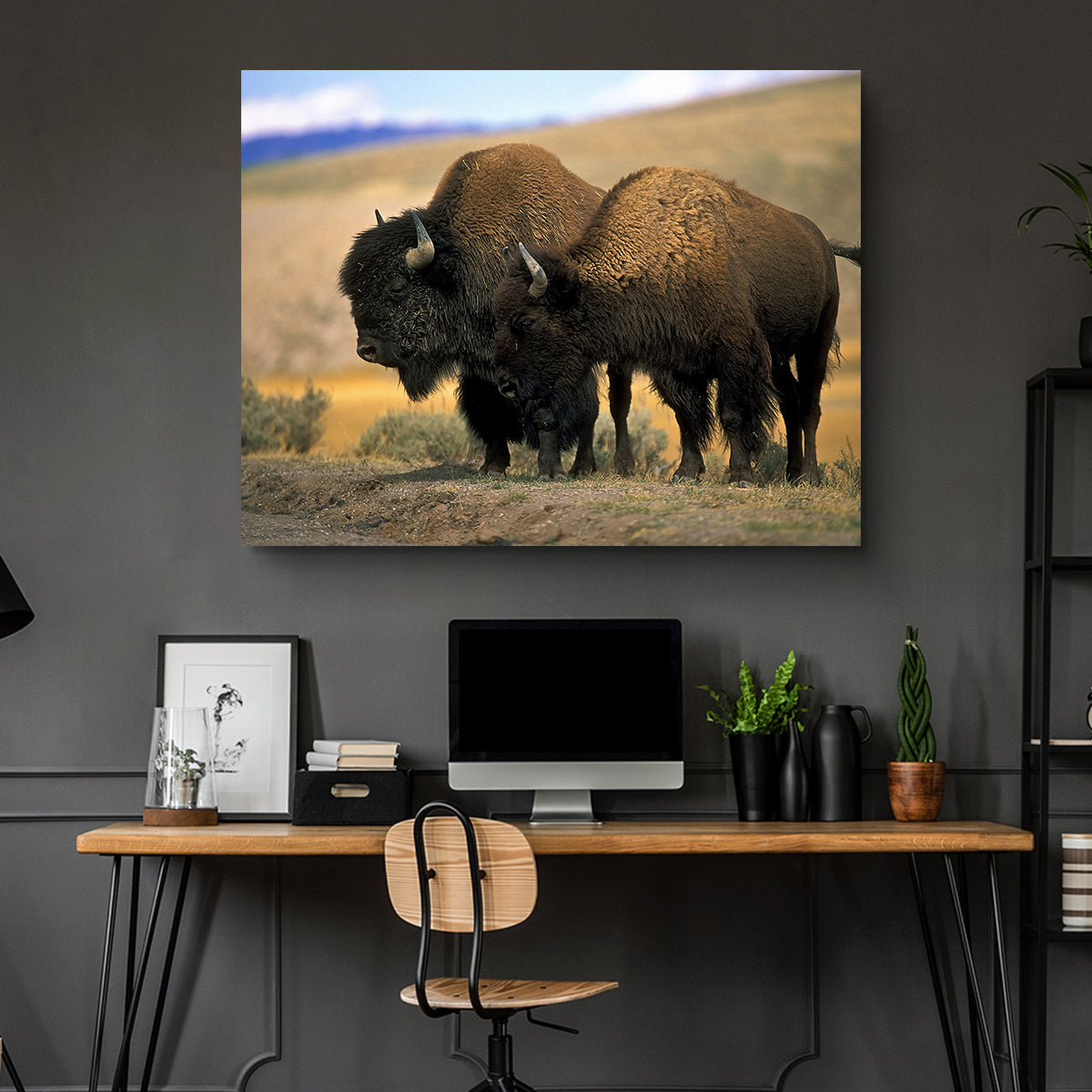 North American Buffalo Wall Art