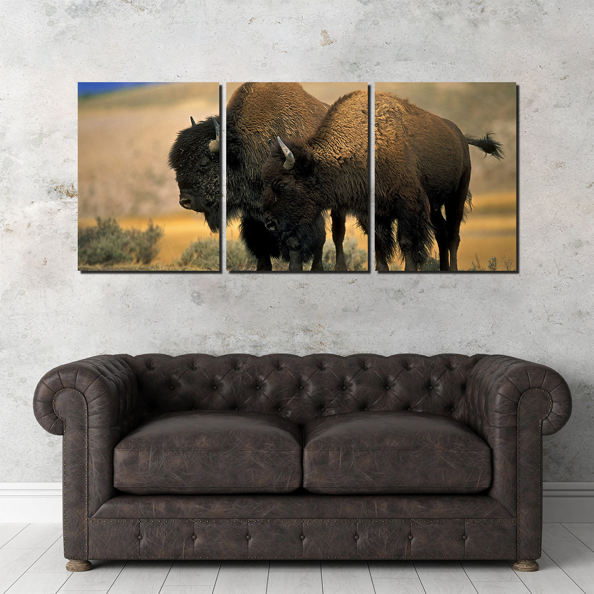 North American Buffalo Wall Art