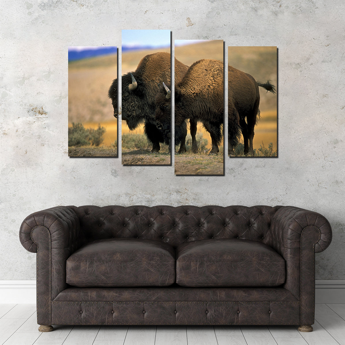 North American Buffalo Wall Art