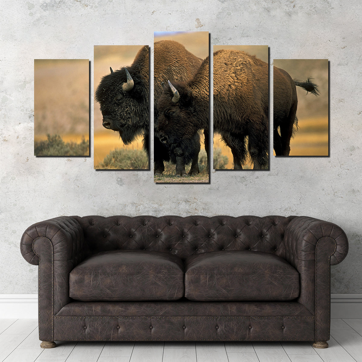 North American Buffalo Wall Art