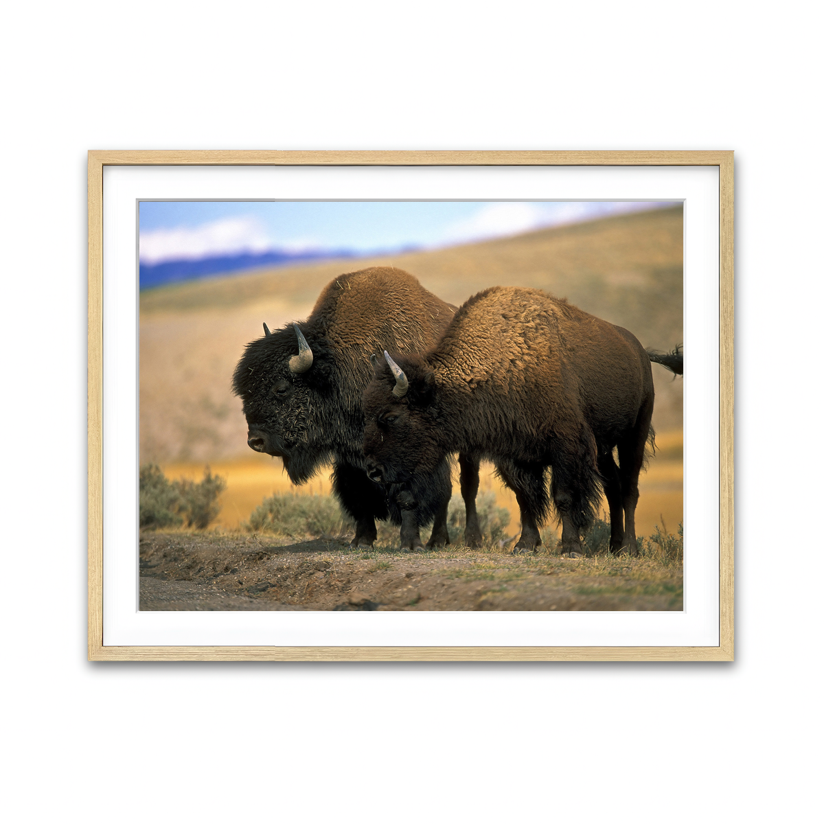 Framed Print 4x3 Natural