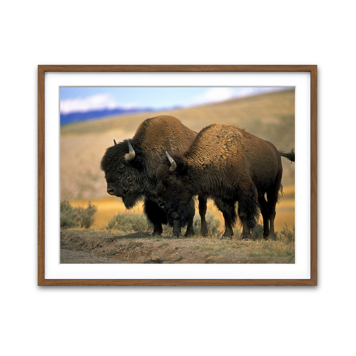 Framed Print 4x3 Walnut