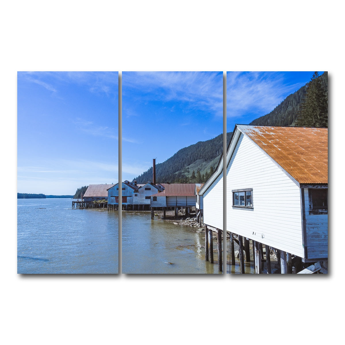 AUTO-MOCKUP WHITE | Northern BC Cannary | 3 Piece | Gallery Wrap Canvas | group=12x24