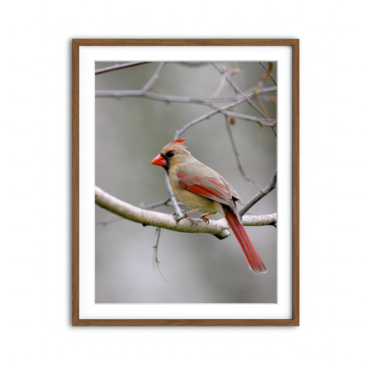 Framed Print 3x4 Walnut