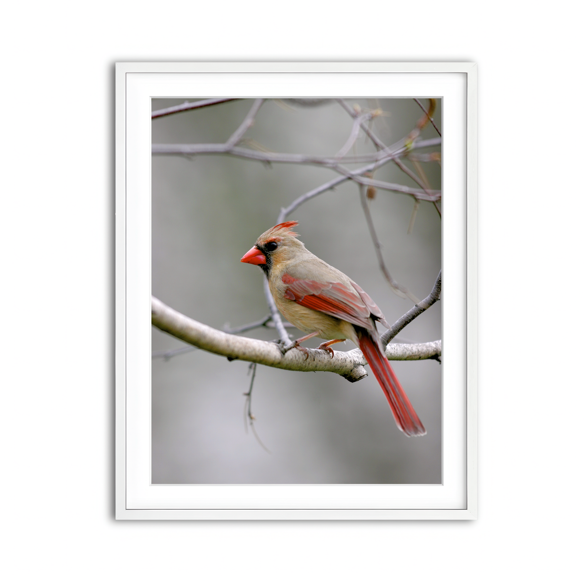 Framed Print 3x4 White