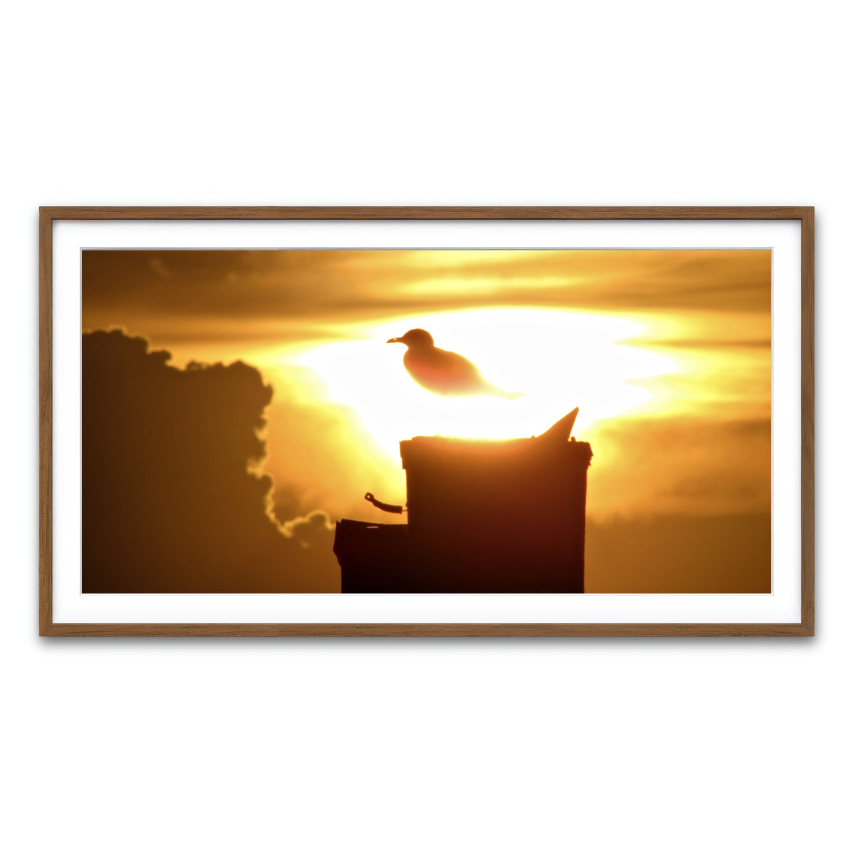 Framed Print 2x1 Walnut