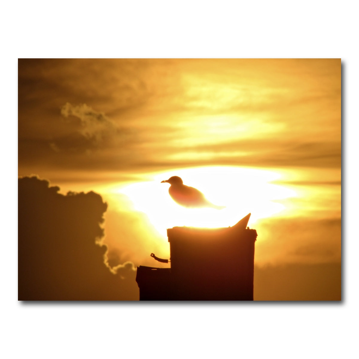 AUTO-MOCKUP WHITE | Nuclear Seagull | 1 Piece | Gallery Wrap Canvas | group=4x3