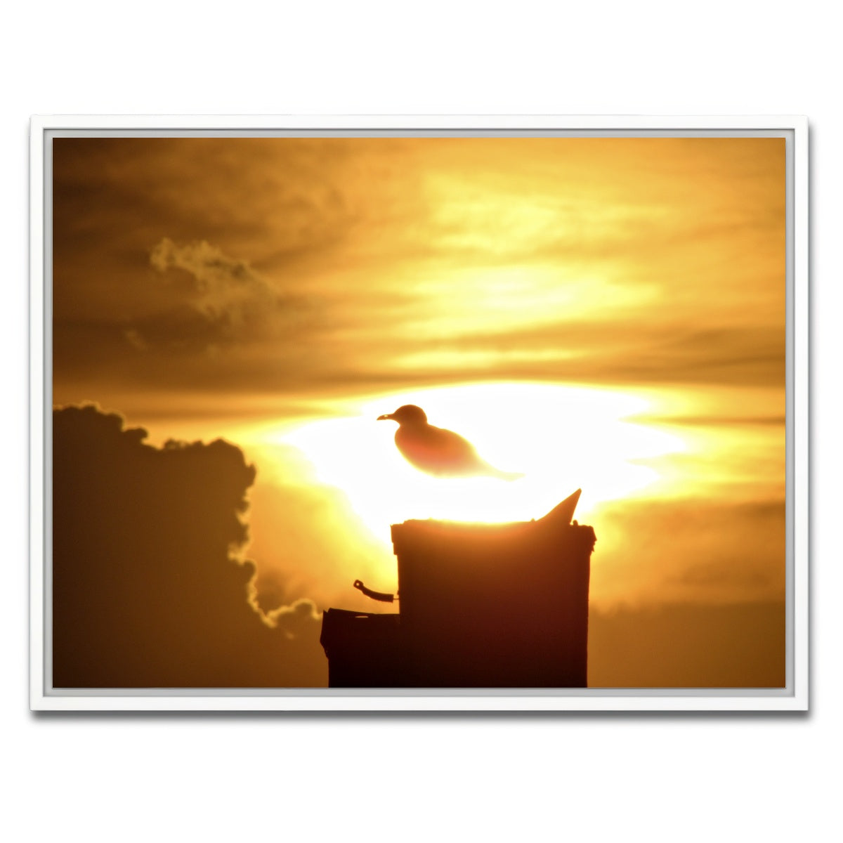 AUTO-MOCKUP WHITE | Nuclear Seagull | 1 Piece | White Framed Canvas | group=4x3