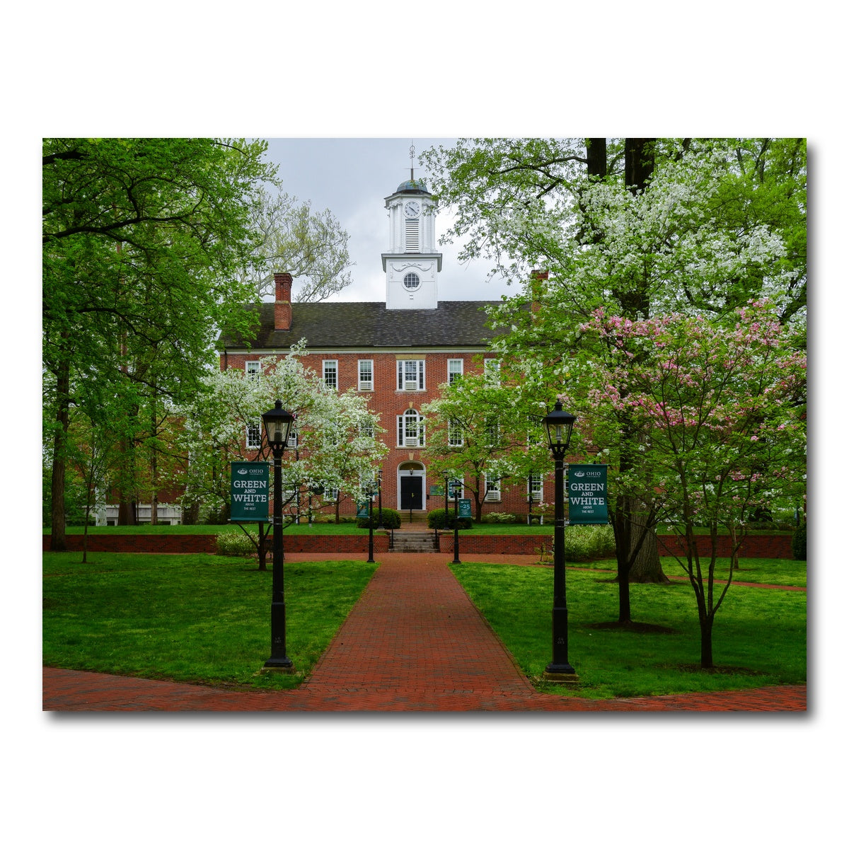 AUTO-MOCKUP WHITE | Ohio University | 1 Piece | Gallery Wrap Canvas | group=4x3