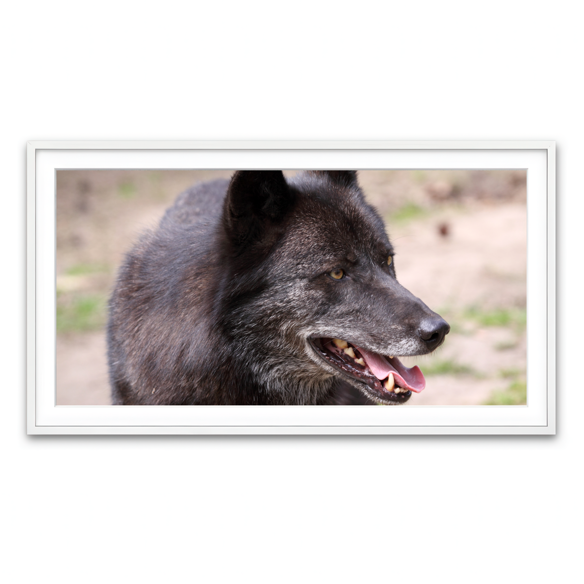 Framed Print 2x1 White