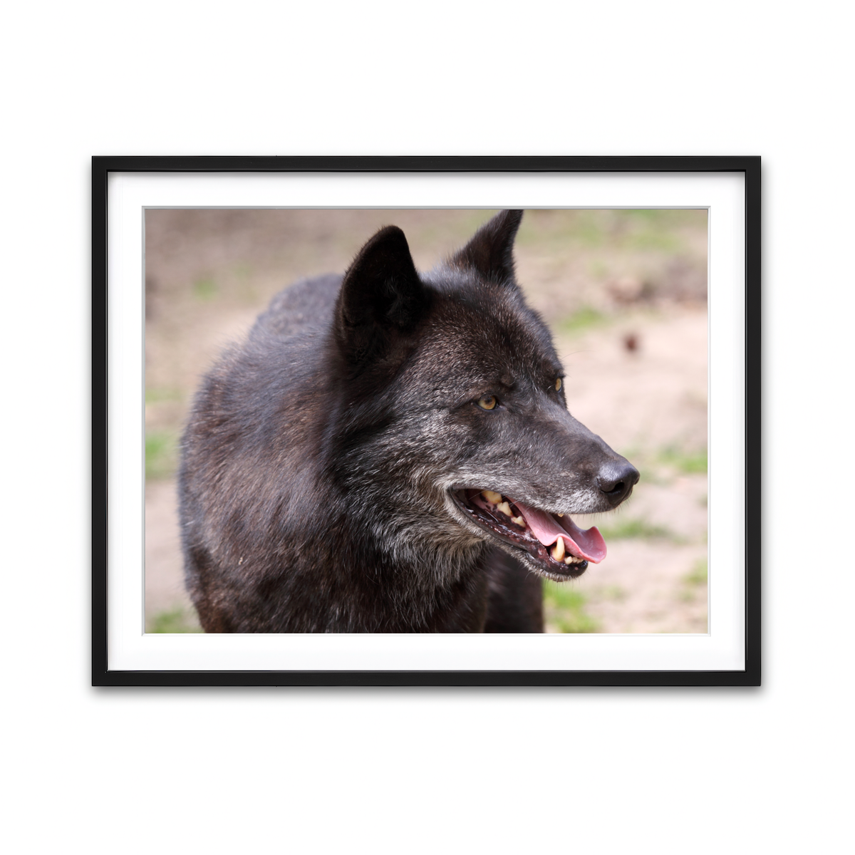 Framed Print 4x3 Black