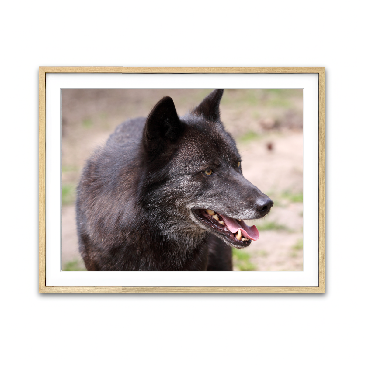 Framed Print 4x3 Natural