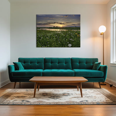 AUTO-MOCKUP ROOM | Open Field in Illinois