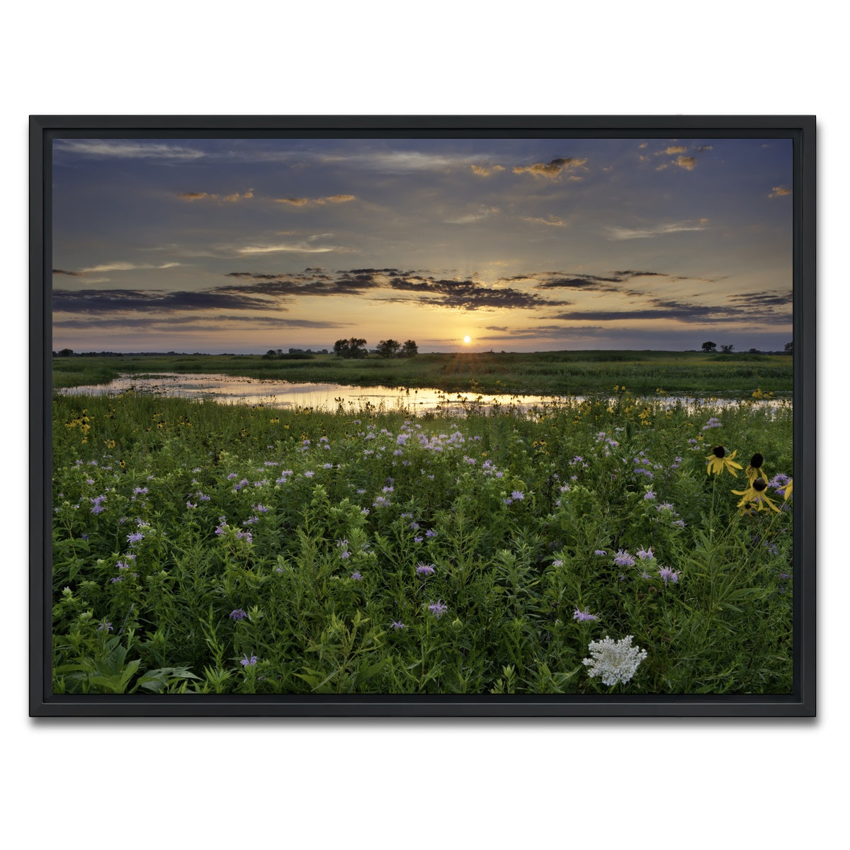 AUTO-MOCKUP WHITE | Open Field in Illinois | 1 Piece | Black Framed Canvas | group=4x3