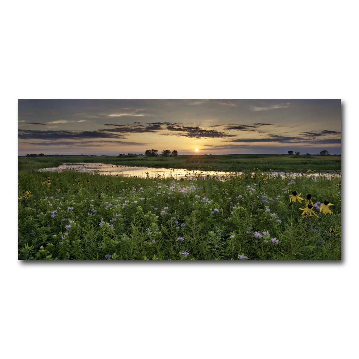 AUTO-MOCKUP WHITE | Open Field in Illinois | 1 Piece | Gallery Wrap Canvas | group=2x1