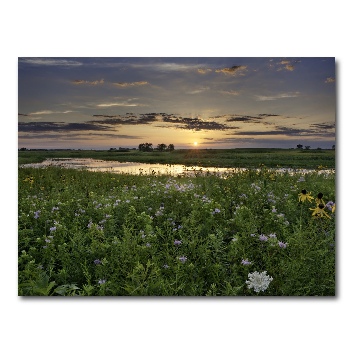AUTO-MOCKUP WHITE | Open Field in Illinois | 1 Piece | Gallery Wrap Canvas | group=4x3
