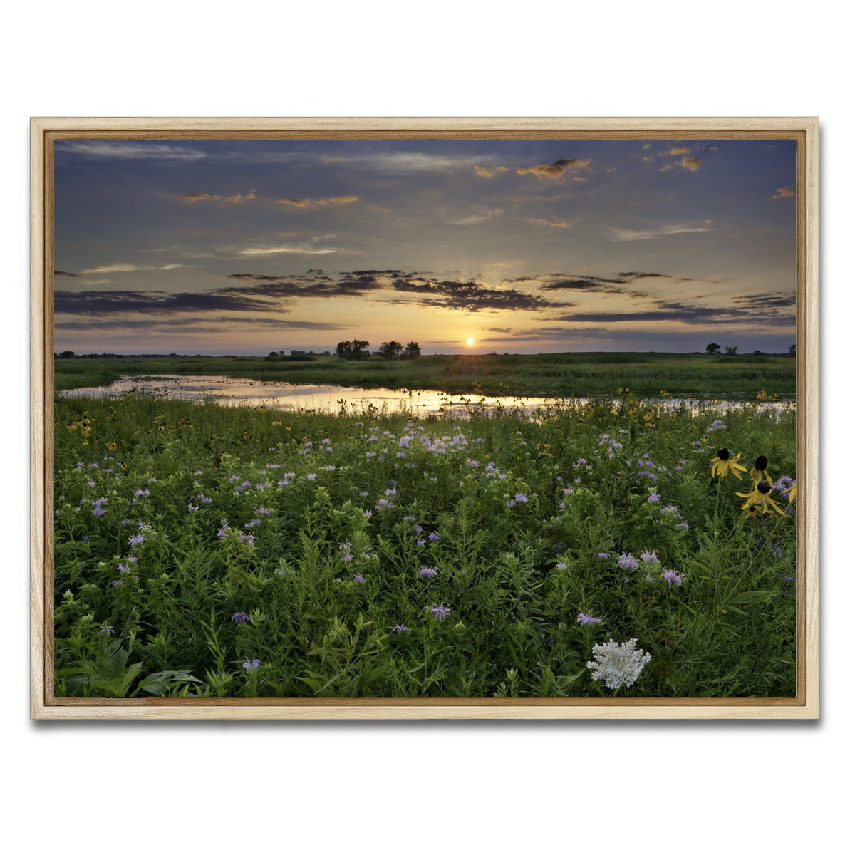AUTO-MOCKUP WHITE | Open Field in Illinois | 1 Piece | Natural Framed Canvas | group=4x3