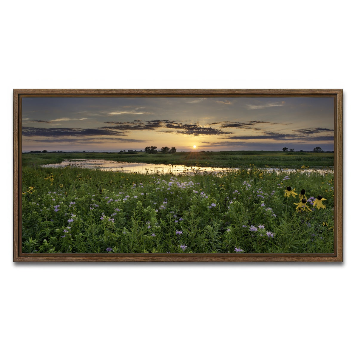 AUTO-MOCKUP WHITE | Open Field in Illinois | 1 Piece | Walnut Framed Canvas | group=2x1
