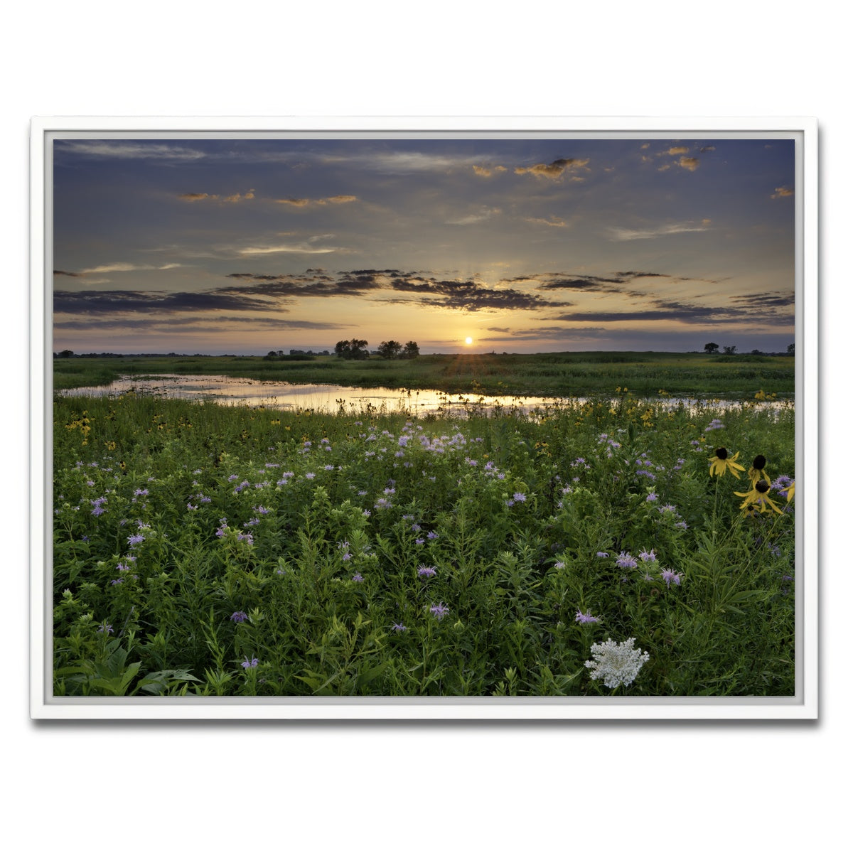 AUTO-MOCKUP WHITE | Open Field in Illinois | 1 Piece | White Framed Canvas | group=4x3