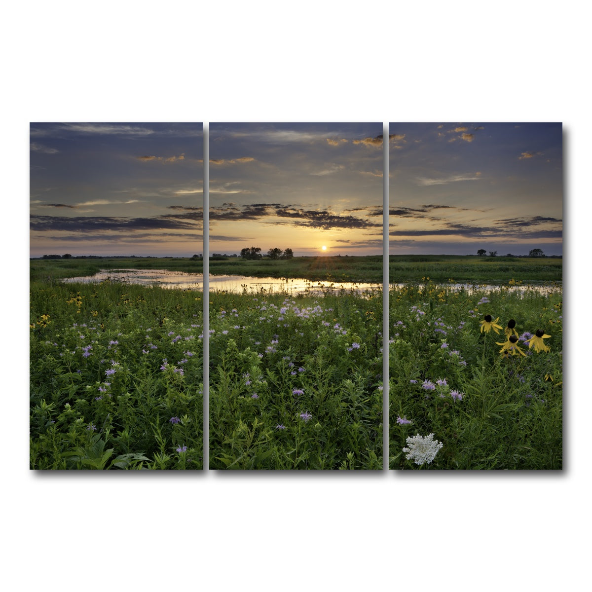 AUTO-MOCKUP WHITE | Open Field in Illinois | 3 Piece | Gallery Wrap Canvas | group=12x24
