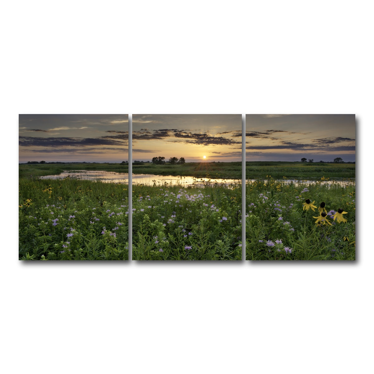 AUTO-MOCKUP WHITE | Open Field in Illinois | 3 Piece | Gallery Wrap Canvas | group=18x24