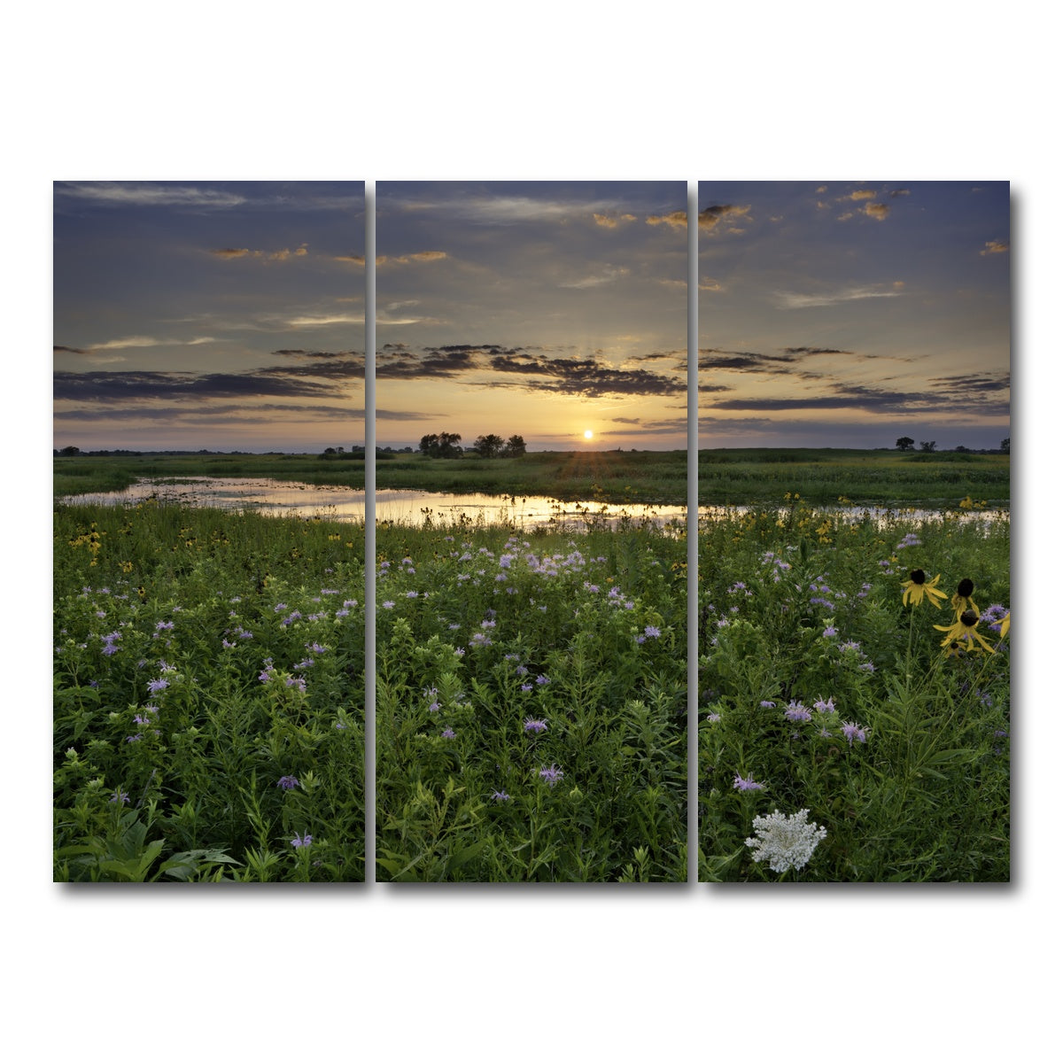 AUTO-MOCKUP WHITE | Open Field in Illinois | 3 Piece | Gallery Wrap Canvas | group=8x18