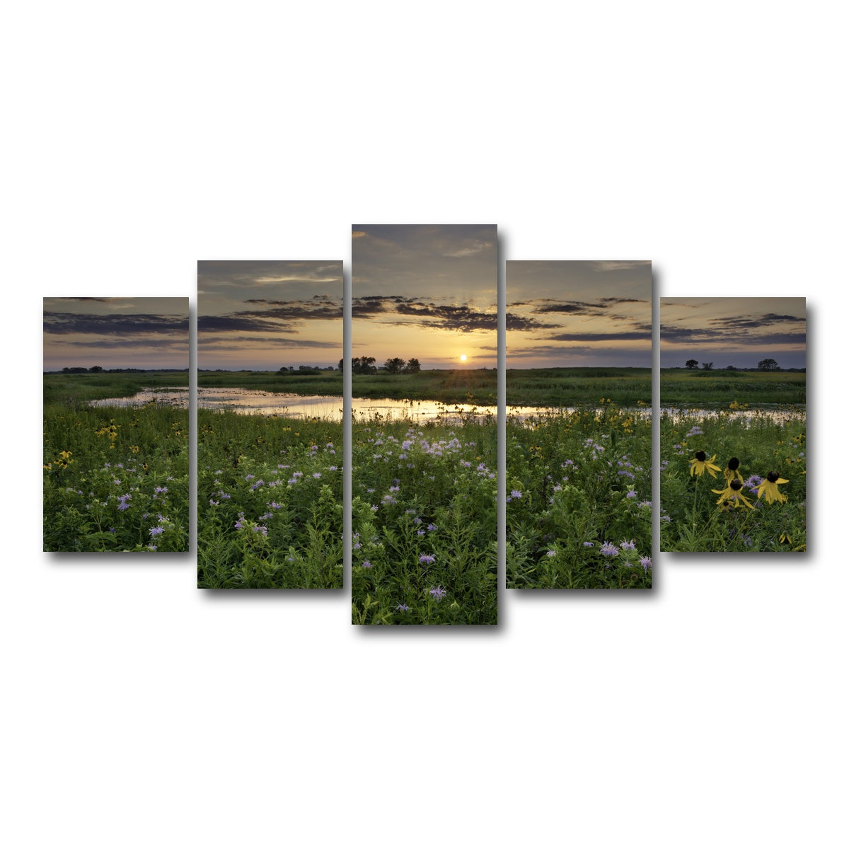 AUTO-MOCKUP WHITE | Open Field in Illinois | 5 Piece | Gallery Wrap Canvas | group=5_normal