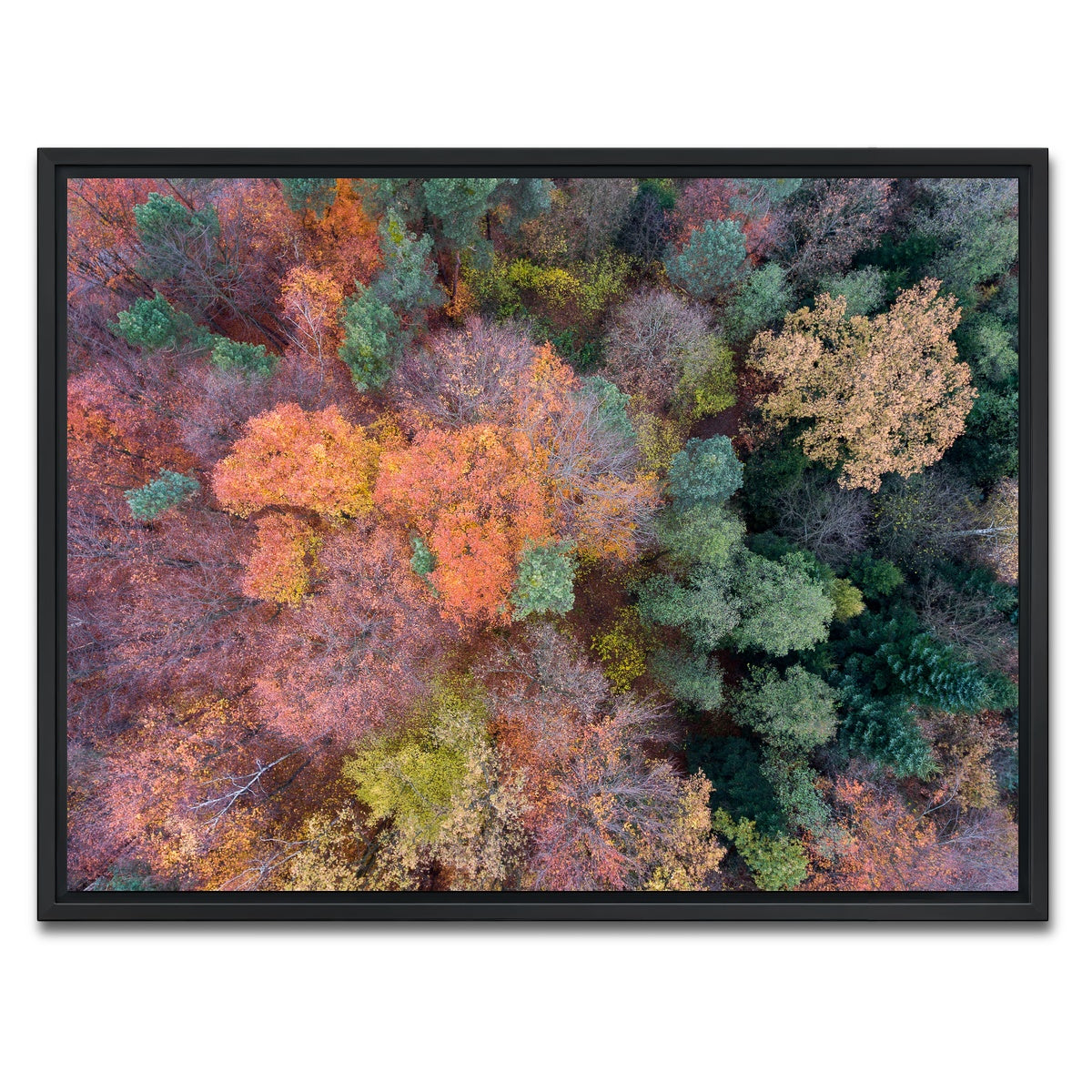 AUTO-MOCKUP WHITE | Orange and Green | 1 Piece | Black Framed Canvas | group=4x3