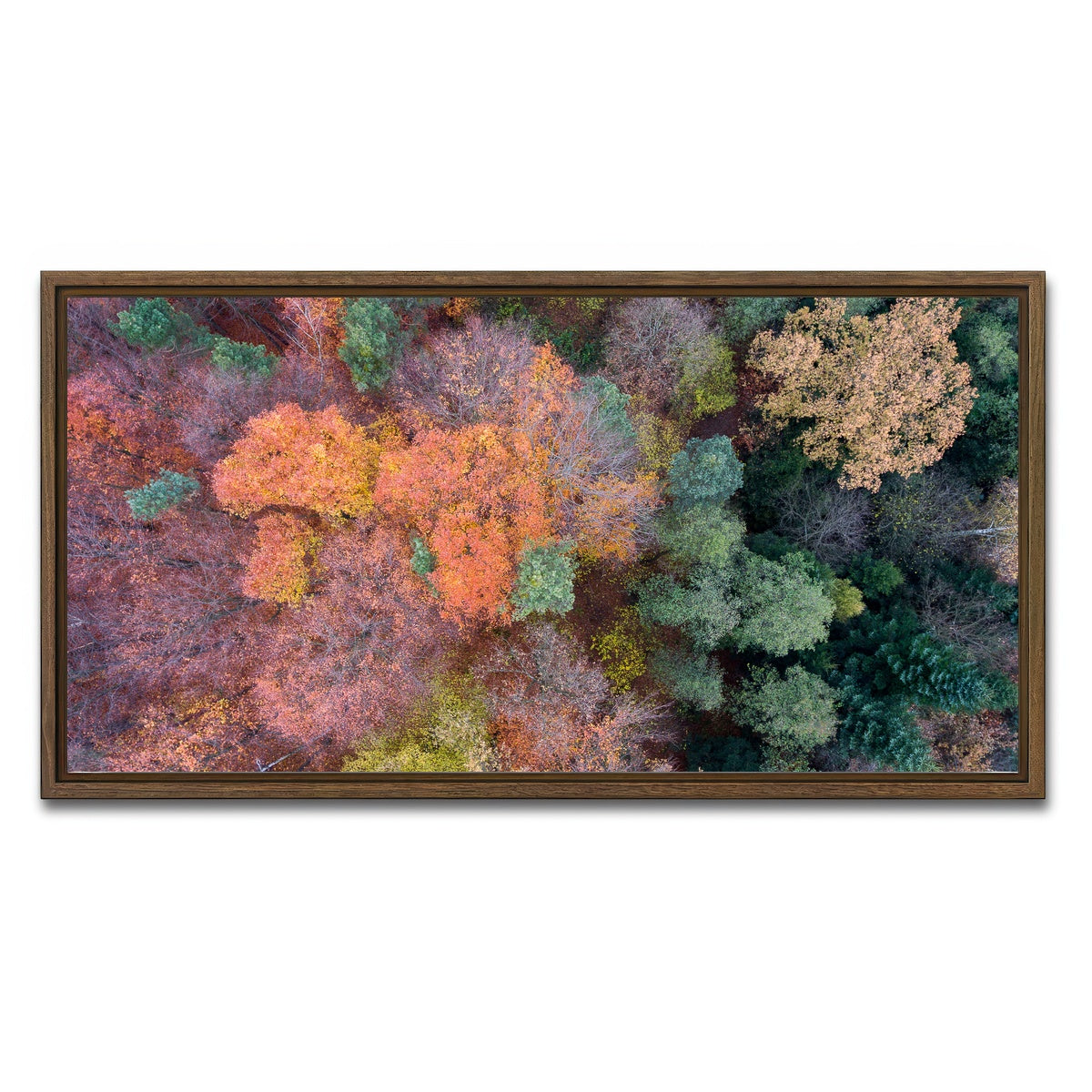 AUTO-MOCKUP WHITE | Orange and Green | 1 Piece | Walnut Framed Canvas | group=2x1