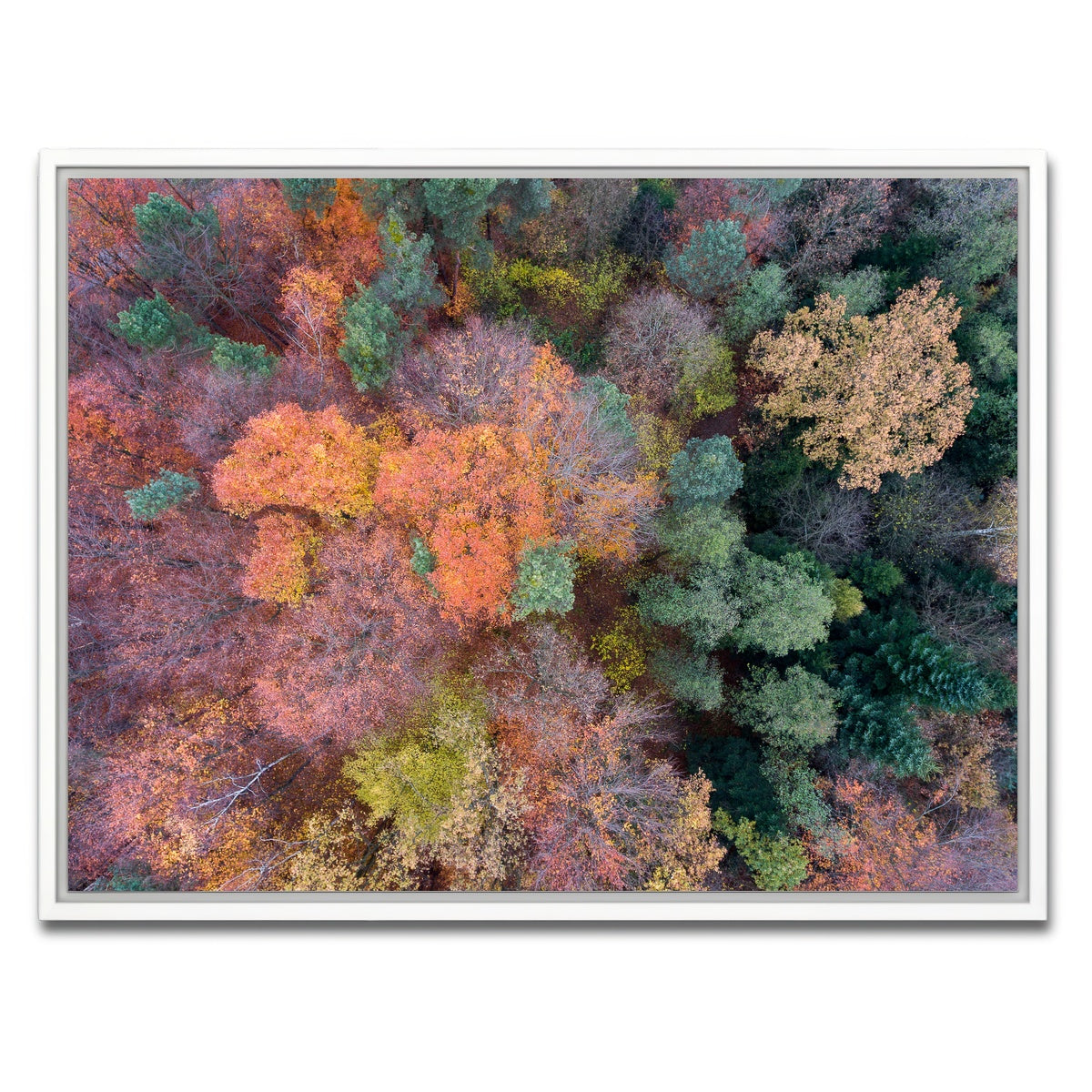 AUTO-MOCKUP WHITE | Orange and Green | 1 Piece | White Framed Canvas | group=4x3