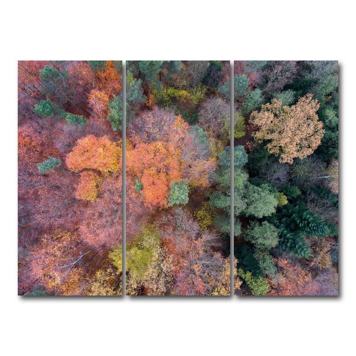 AUTO-MOCKUP WHITE | Orange and Green | 3 Piece | Gallery Wrap Canvas | group=8x18