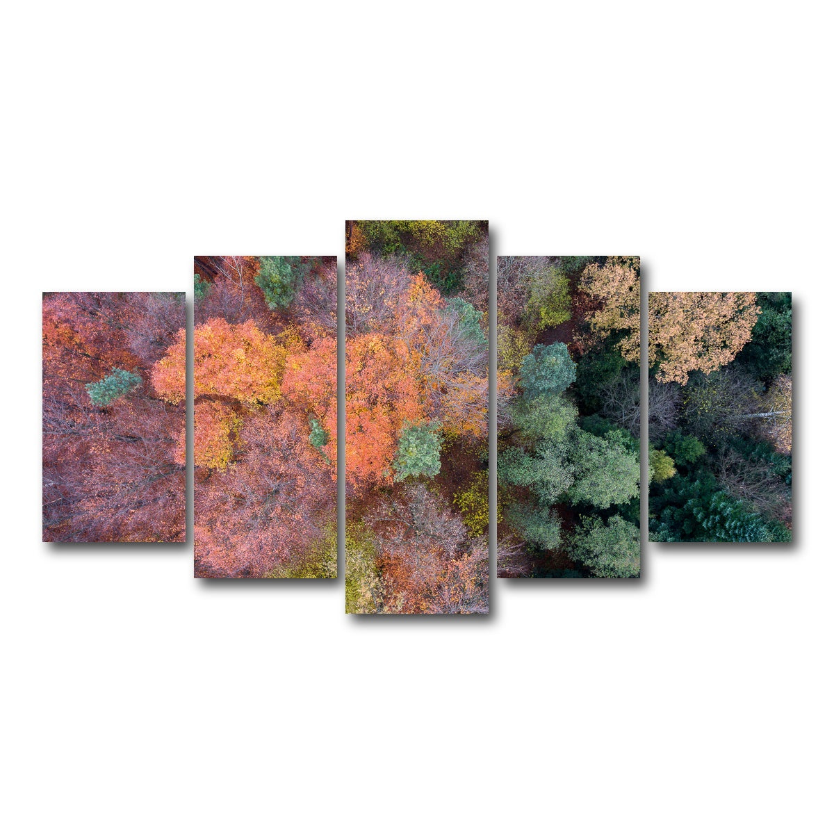 AUTO-MOCKUP WHITE | Orange and Green | 5 Piece | Gallery Wrap Canvas | group=5_normal