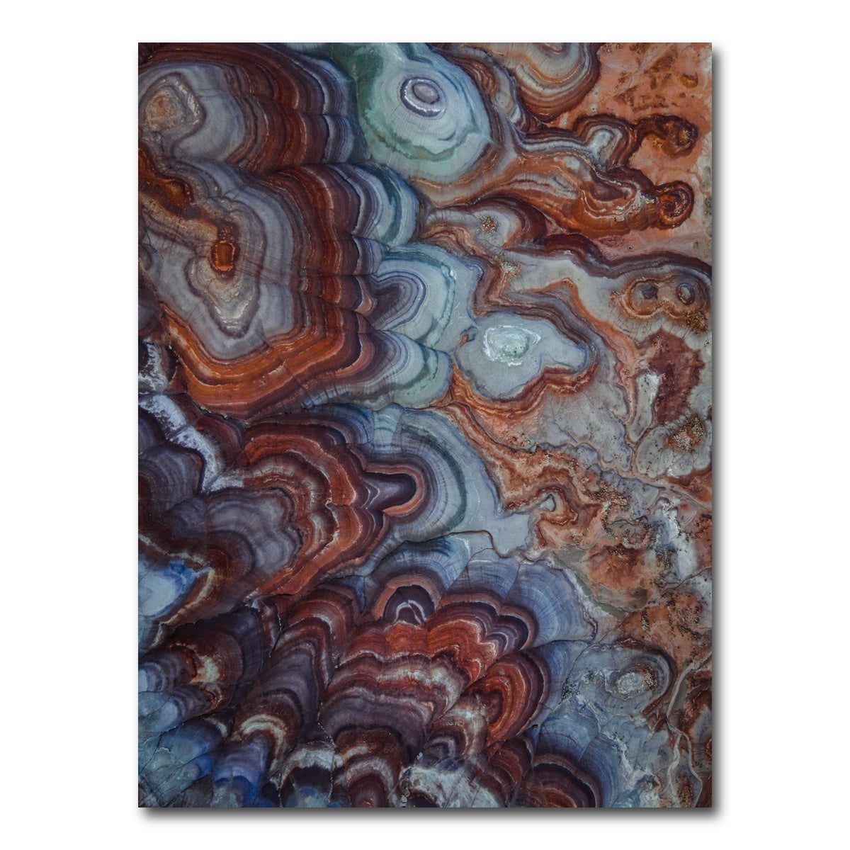 AUTO-MOCKUP WHITE | Out of this World | 1 Piece | Gallery Wrap Canvas | group=3x4