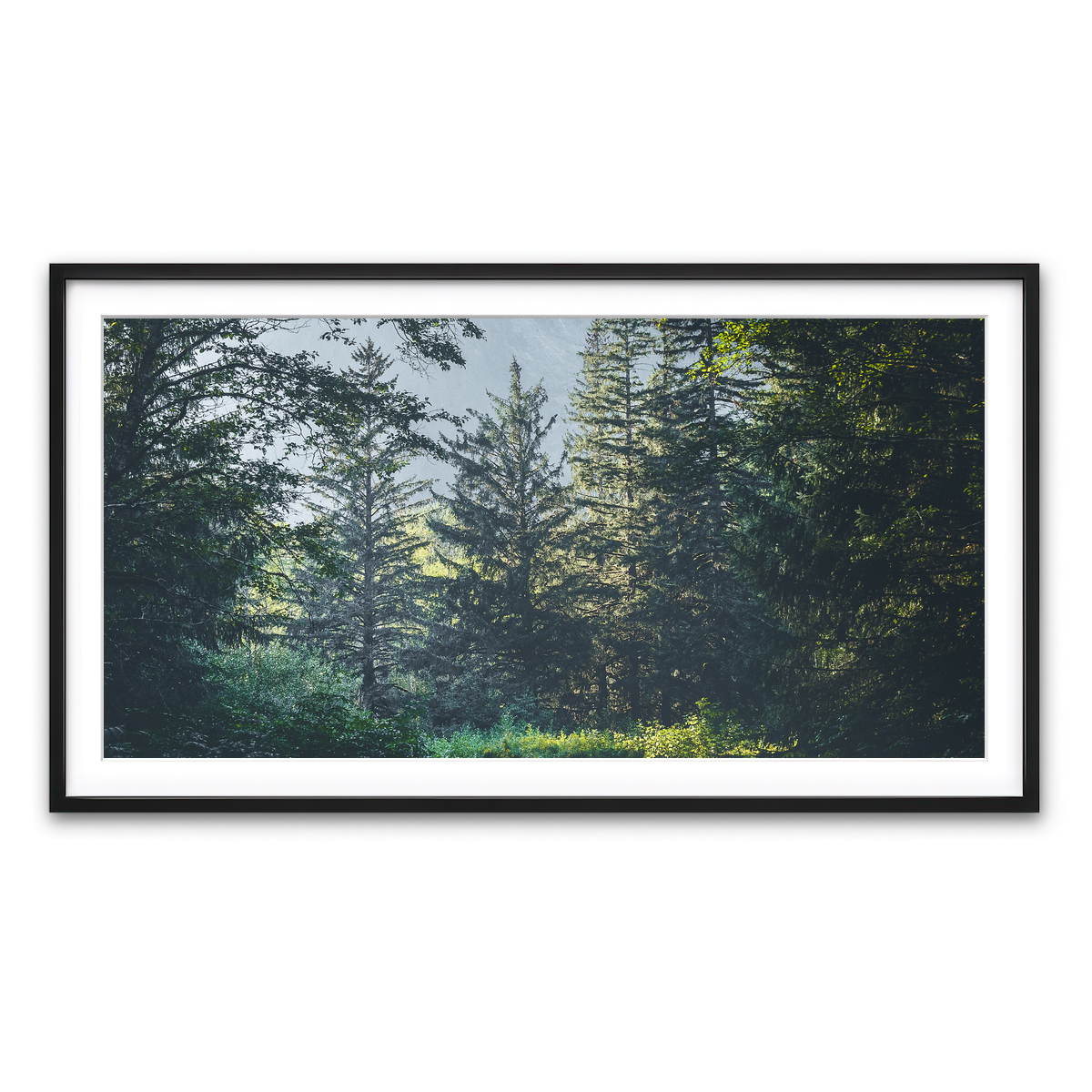 Framed Print 2x1 Black