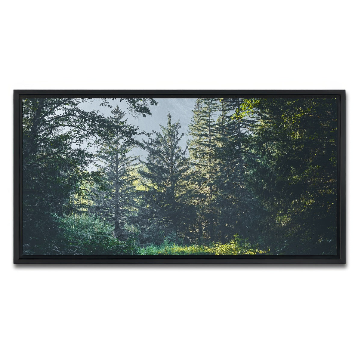 AUTO-MOCKUP WHITE | Overgrown Forest Path | 1 Piece | Black Framed Canvas | group=2x1