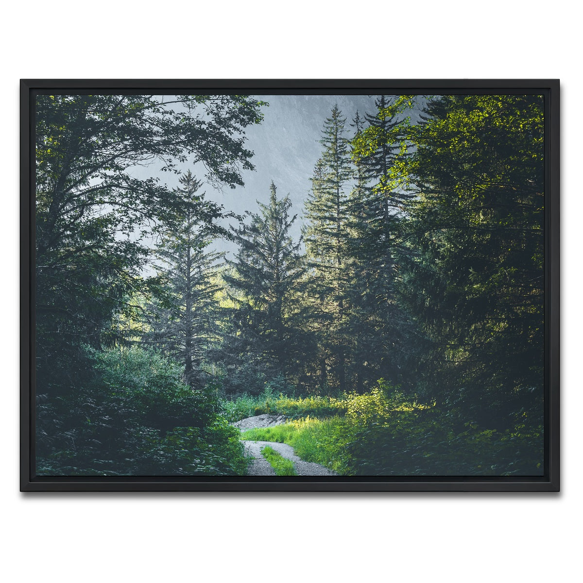 AUTO-MOCKUP WHITE | Overgrown Forest Path | 1 Piece | Black Framed Canvas | group=4x3