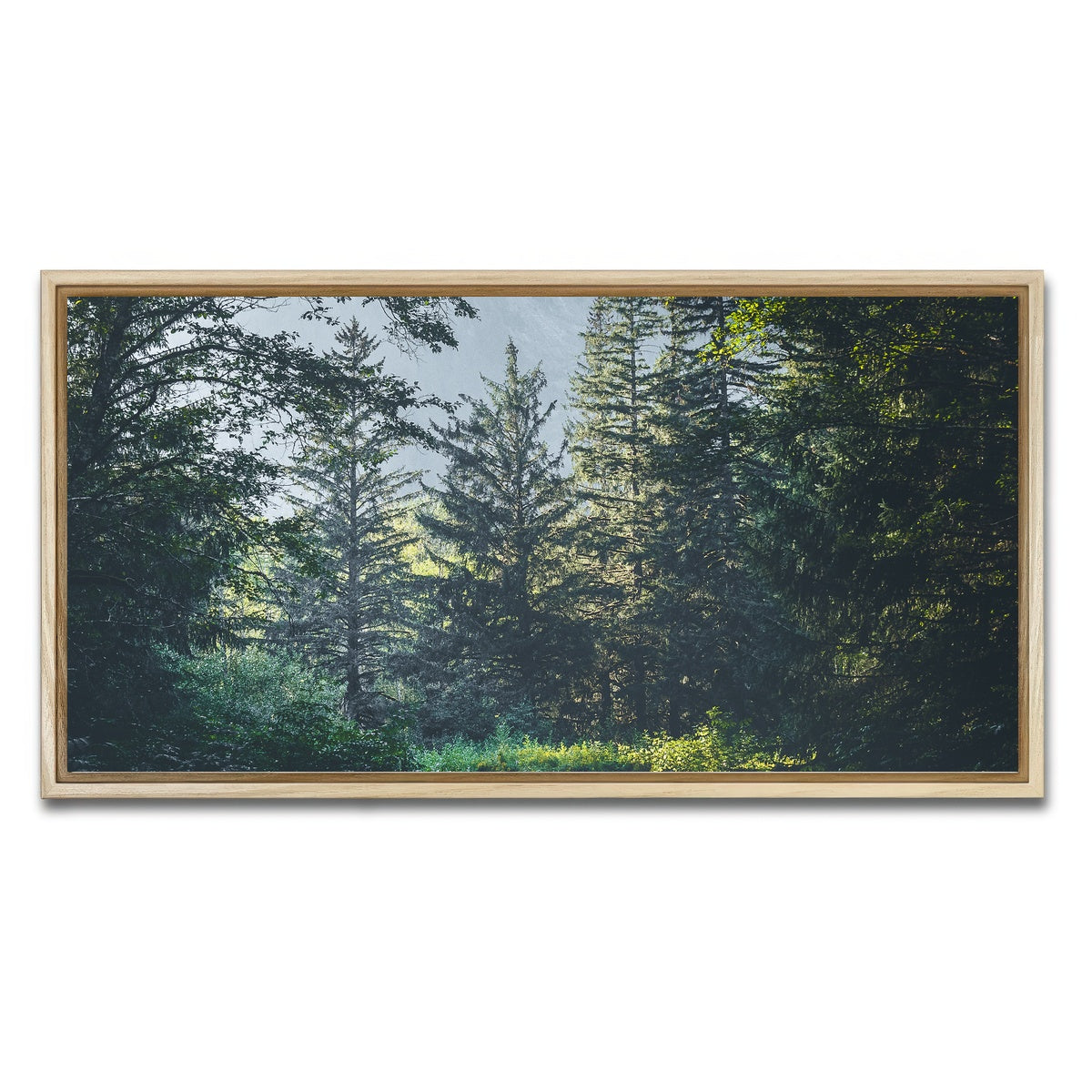AUTO-MOCKUP WHITE | Overgrown Forest Path | 1 Piece | Natural Framed Canvas | group=2x1