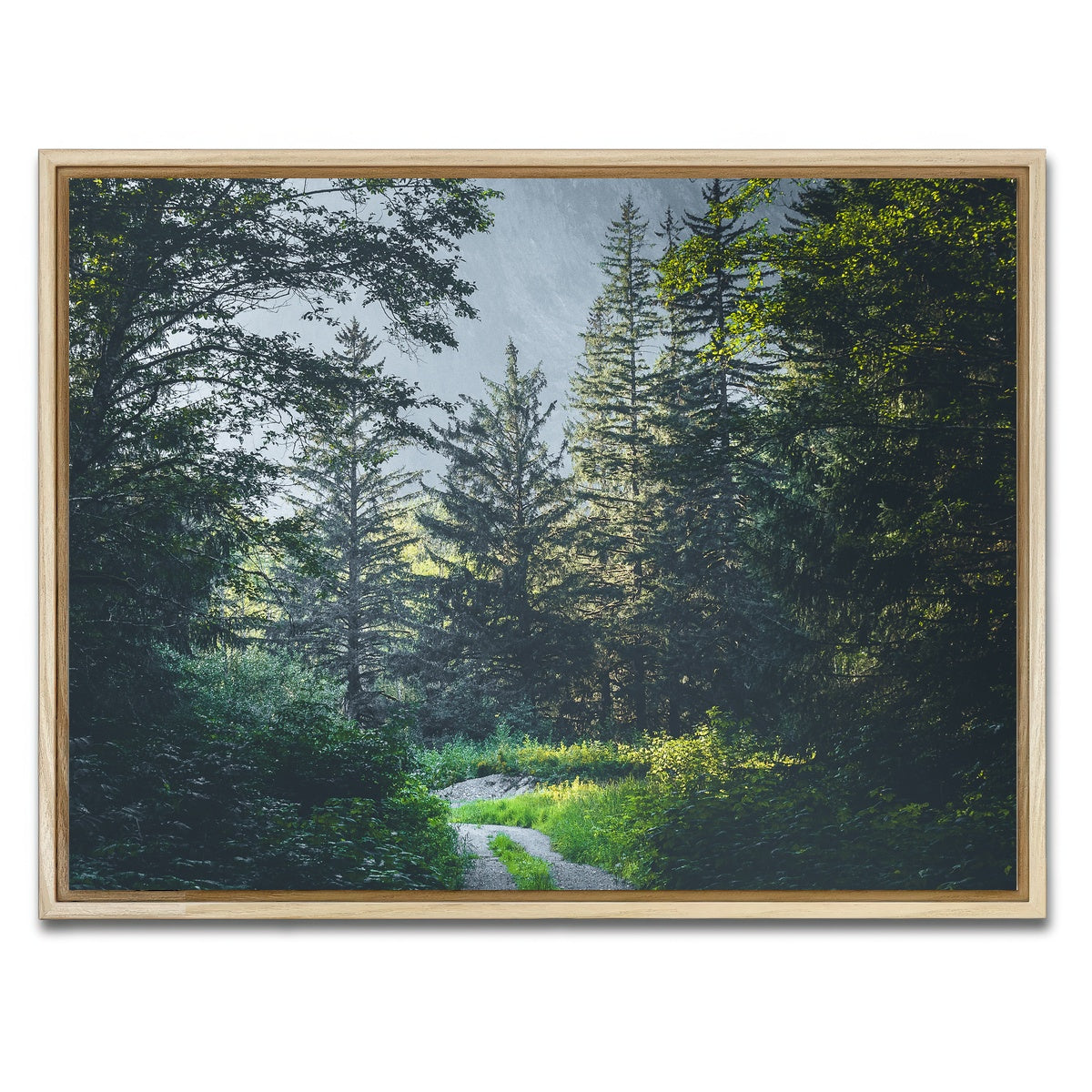 AUTO-MOCKUP WHITE | Overgrown Forest Path | 1 Piece | Natural Framed Canvas | group=4x3