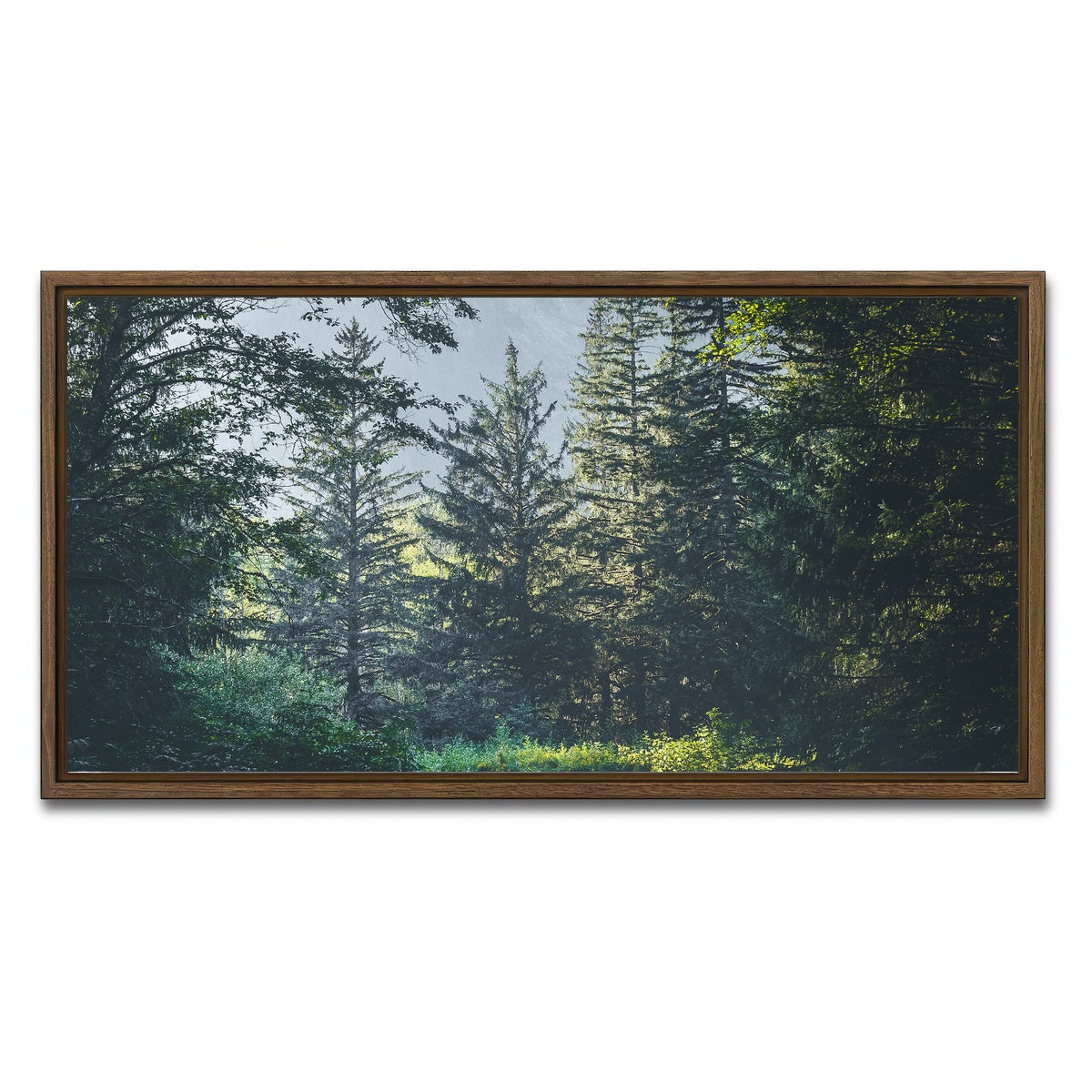 AUTO-MOCKUP WHITE | Overgrown Forest Path | 1 Piece | Walnut Framed Canvas | group=2x1