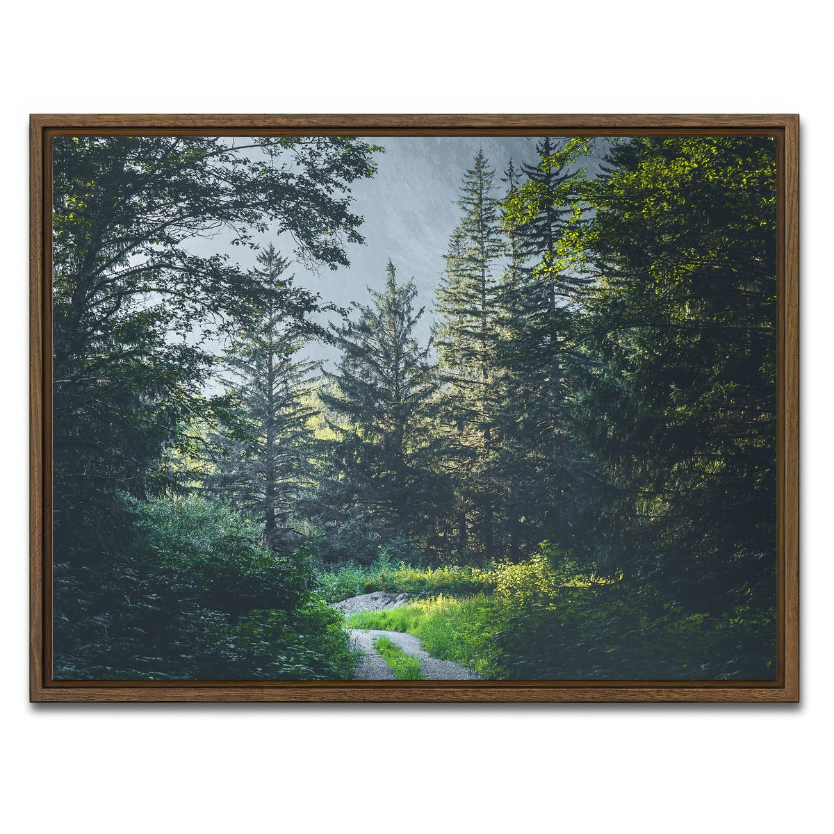 AUTO-MOCKUP WHITE | Overgrown Forest Path | 1 Piece | Walnut Framed Canvas | group=4x3