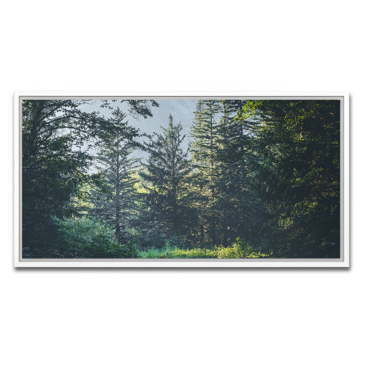 AUTO-MOCKUP WHITE | Overgrown Forest Path | 1 Piece | White Framed Canvas | group=2x1