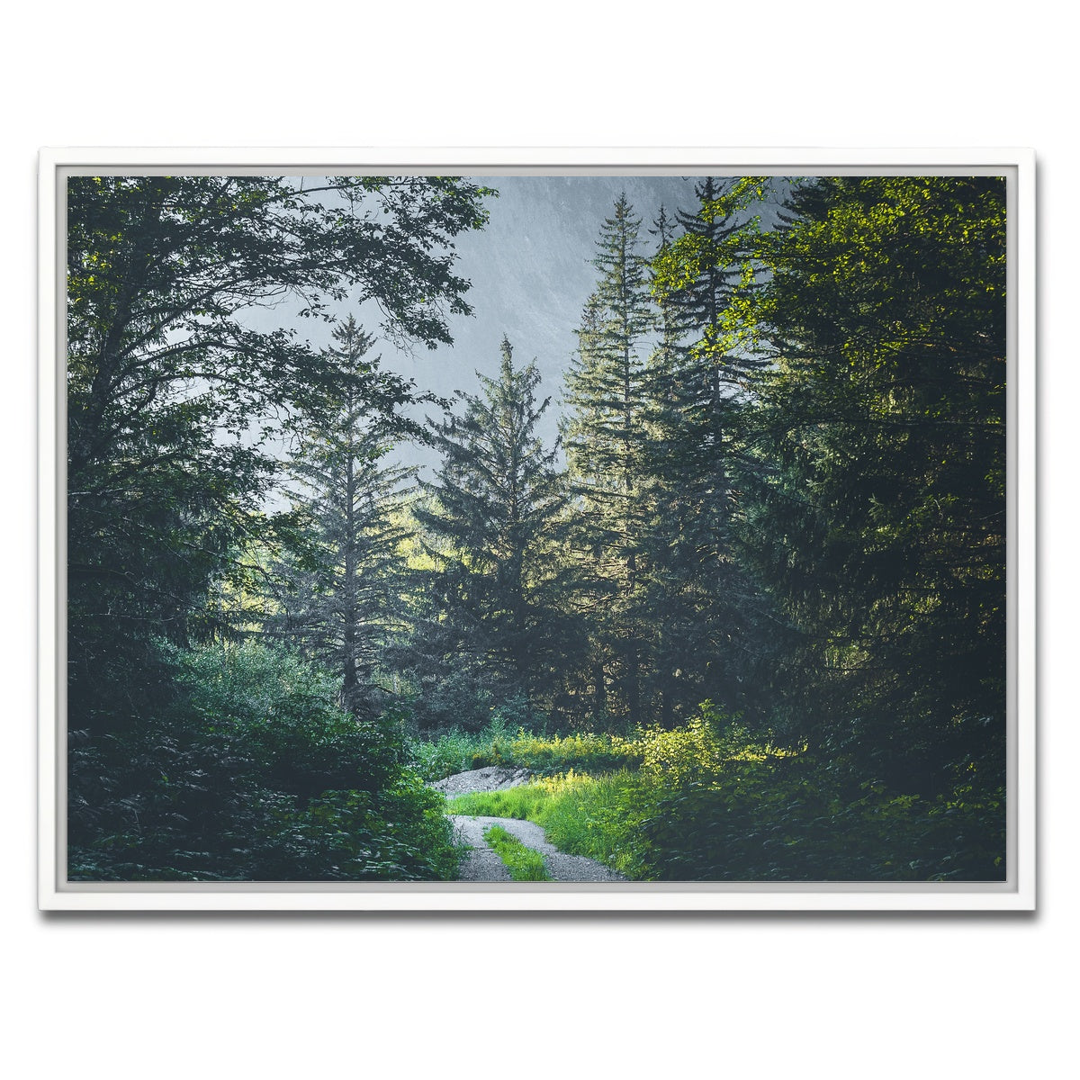AUTO-MOCKUP WHITE | Overgrown Forest Path | 1 Piece | White Framed Canvas | group=4x3