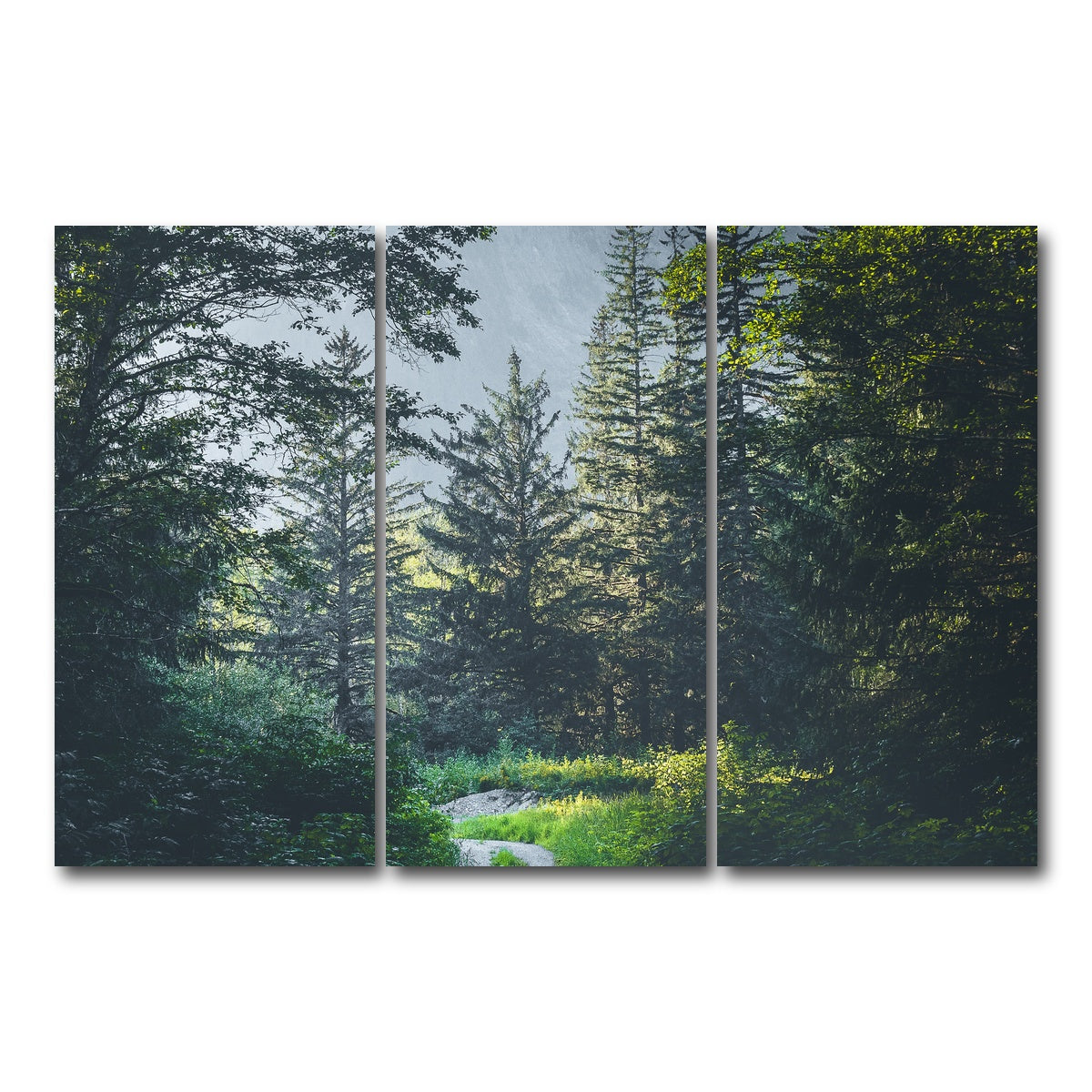 AUTO-MOCKUP WHITE | Overgrown Forest Path | 3 Piece | Gallery Wrap Canvas | group=12x24