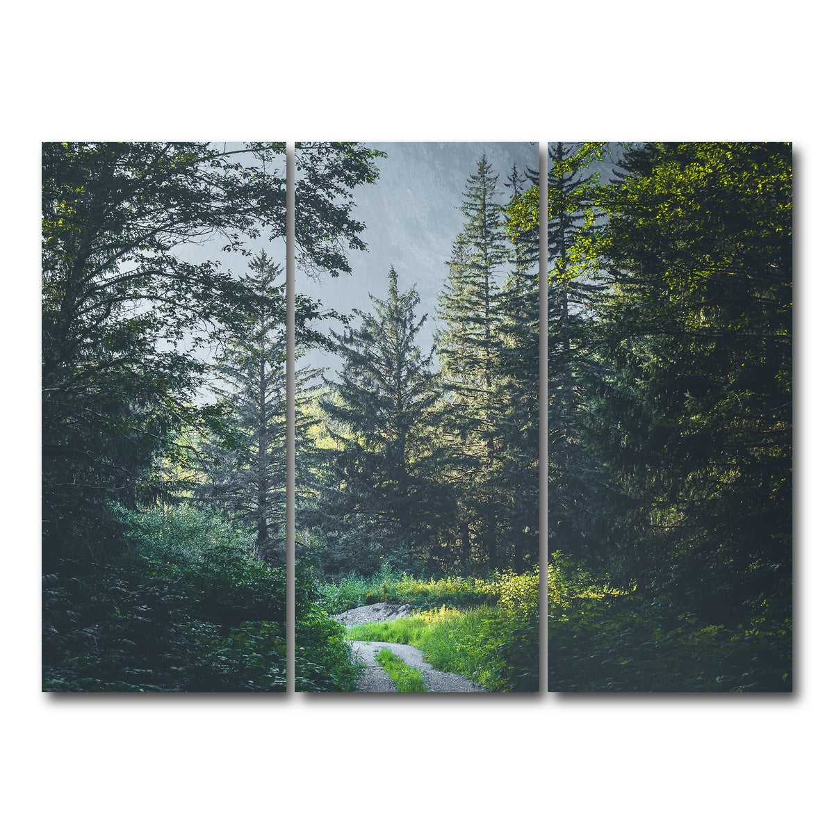 AUTO-MOCKUP WHITE | Overgrown Forest Path | 3 Piece | Gallery Wrap Canvas | group=8x18