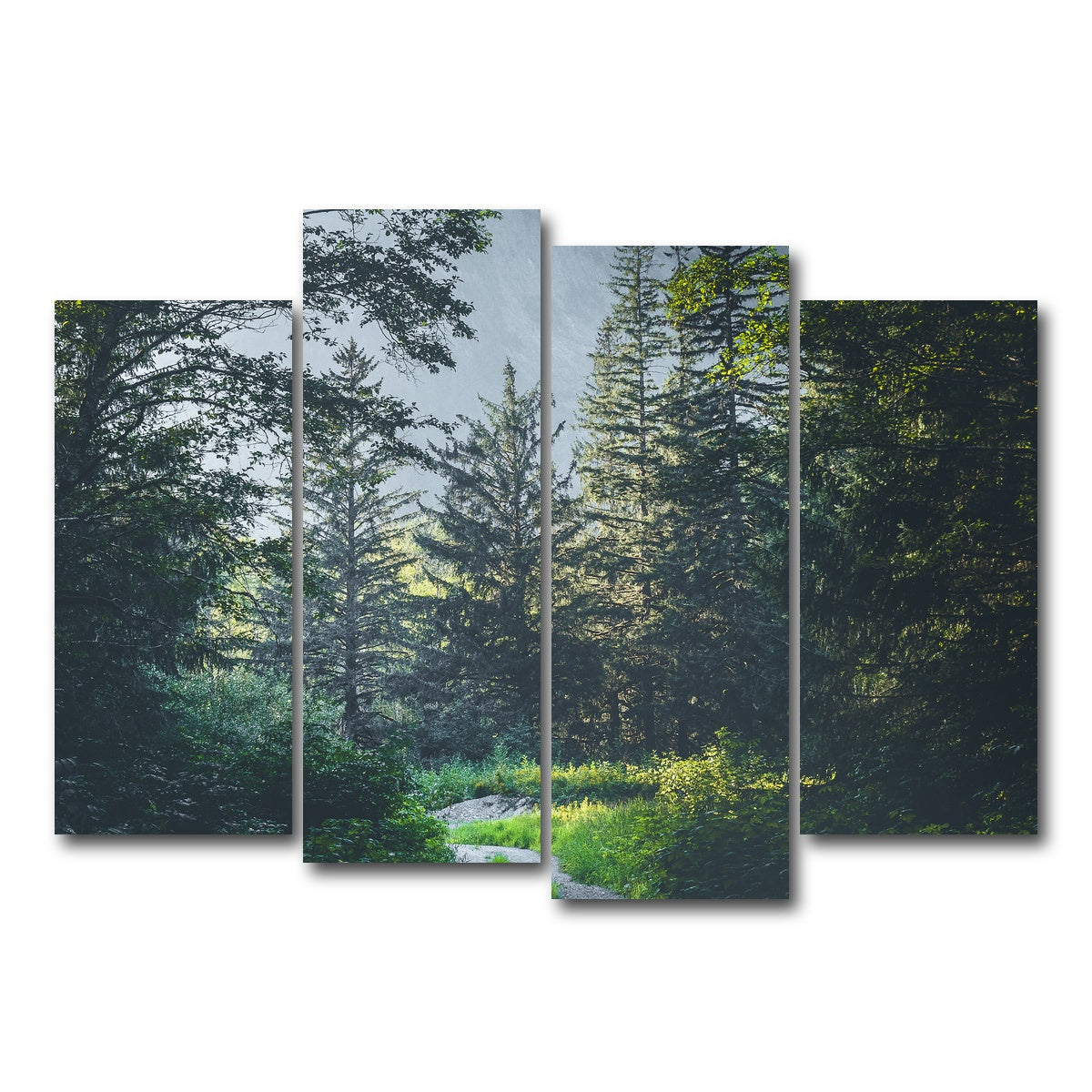 AUTO-MOCKUP WHITE | Overgrown Forest Path | 4 Piece | Gallery Wrap Canvas | group=4_normal