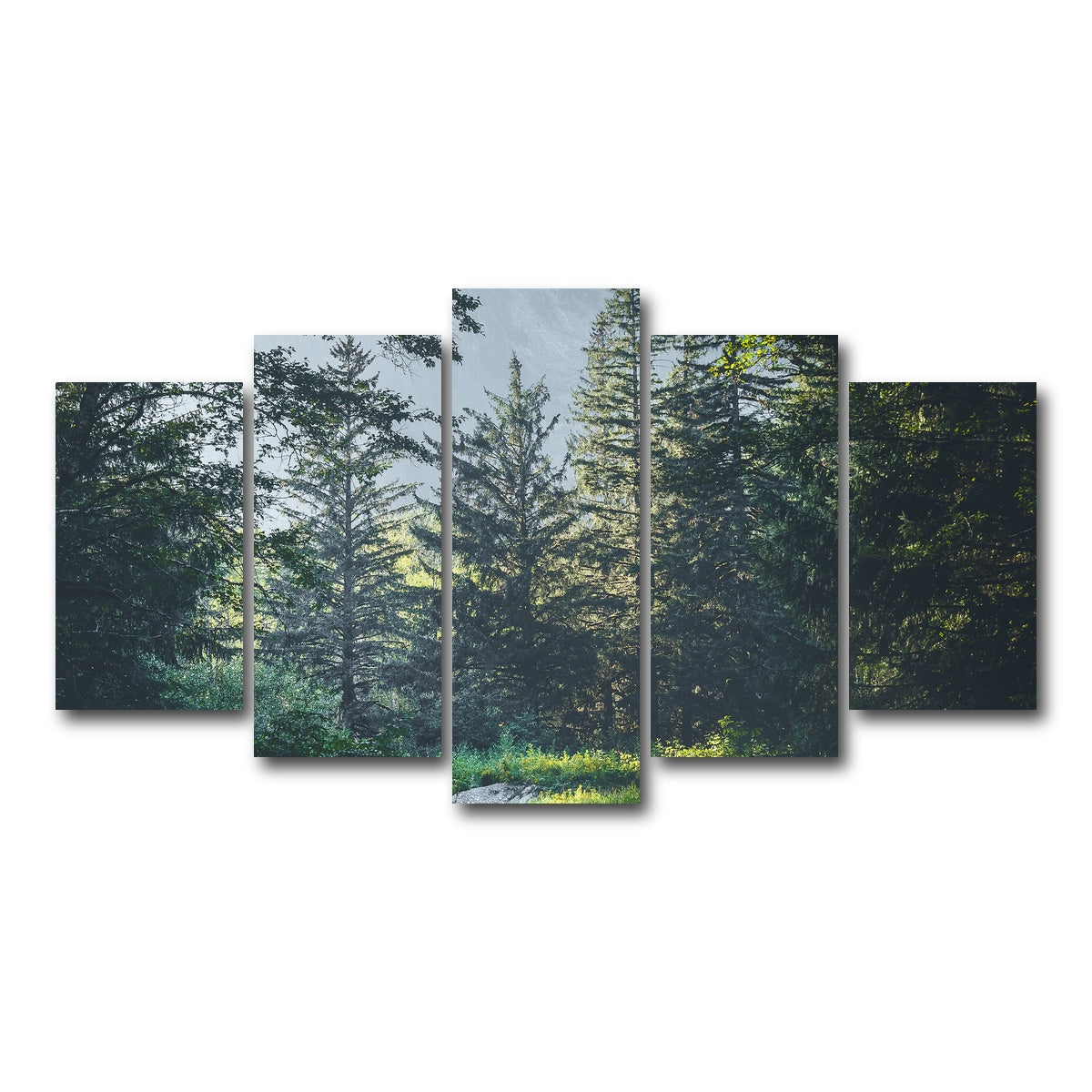 AUTO-MOCKUP WHITE | Overgrown Forest Path | 5 Piece | Gallery Wrap Canvas | group=5_normal