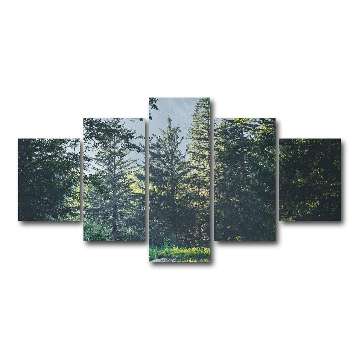 AUTO-MOCKUP WHITE | Overgrown Forest Path | 5 Piece | Gallery Wrap Canvas | group=5_short