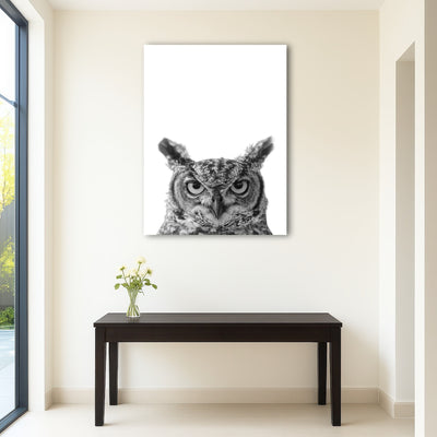 AUTO-MOCKUP ROOM | Owl