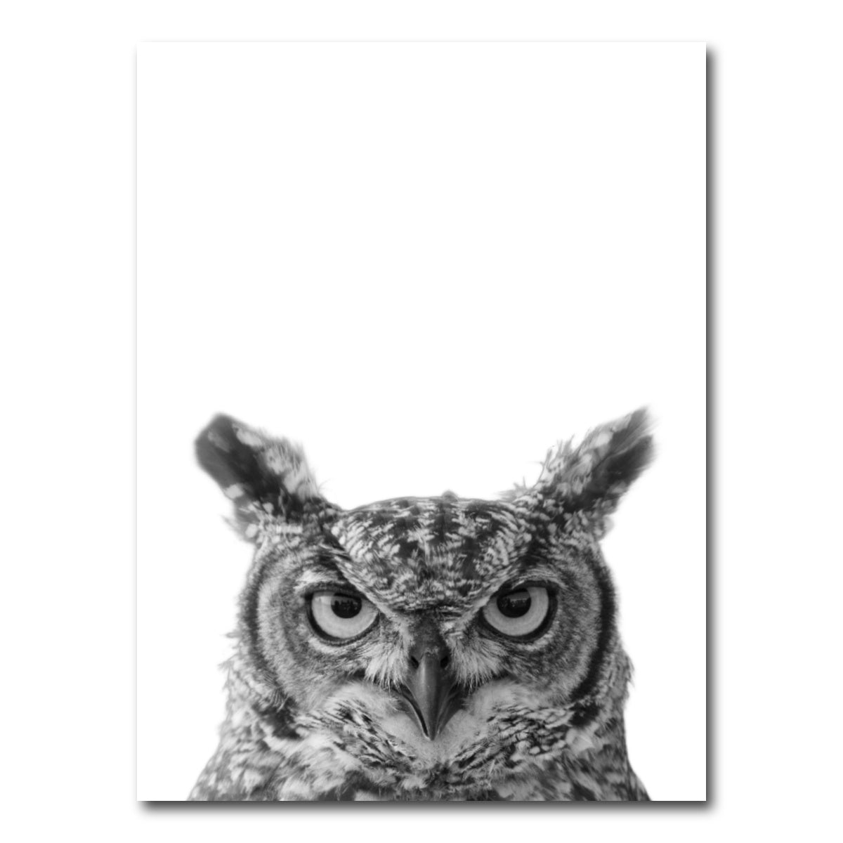 AUTO-MOCKUP WHITE | Owl | 1 Piece | Gallery Wrap Canvas | group=3x4